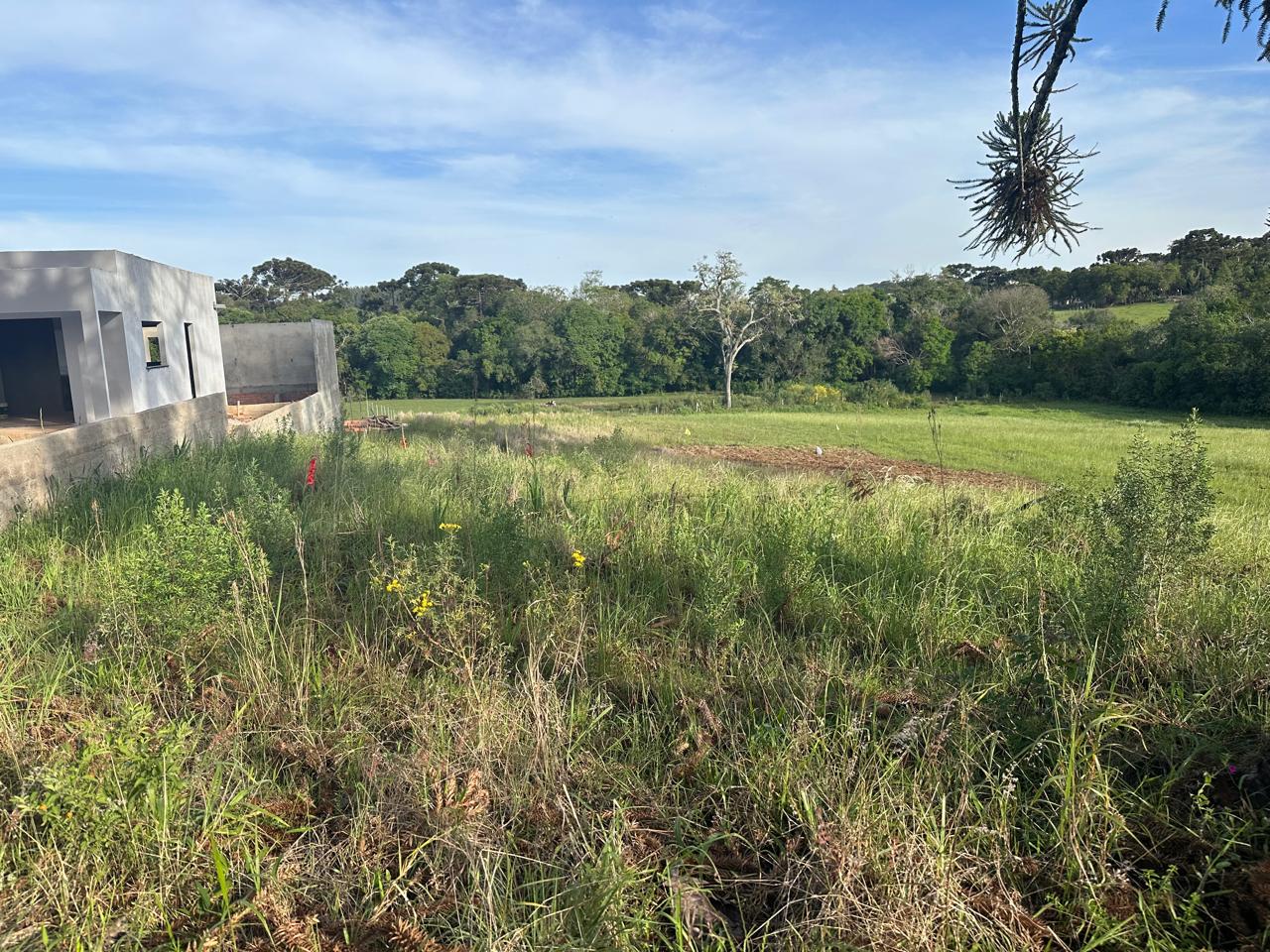 WhatsApp Image 2025-11-10 at 15.13.43