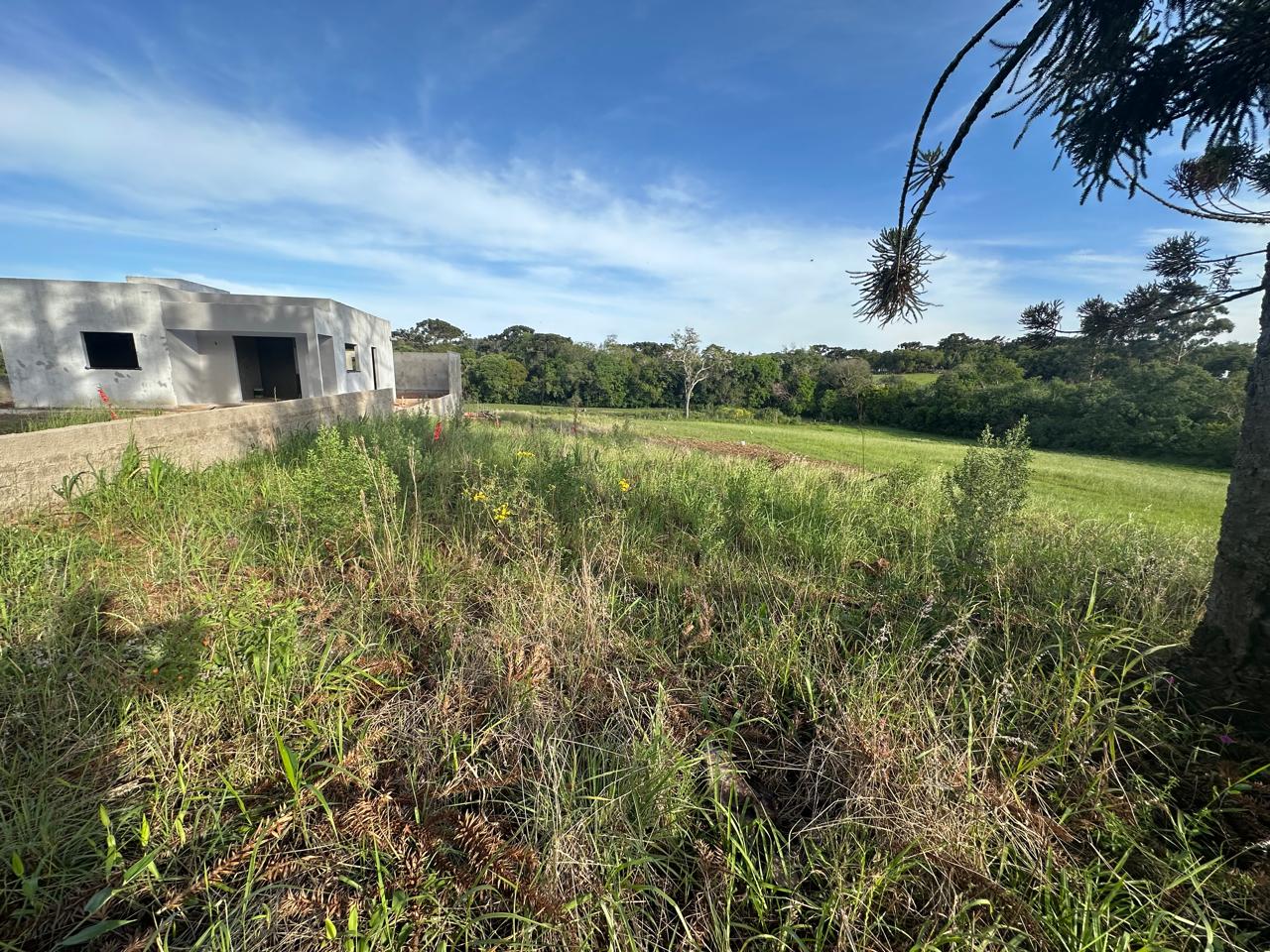 WhatsApp Image 2025-11-10 at 15.13.54