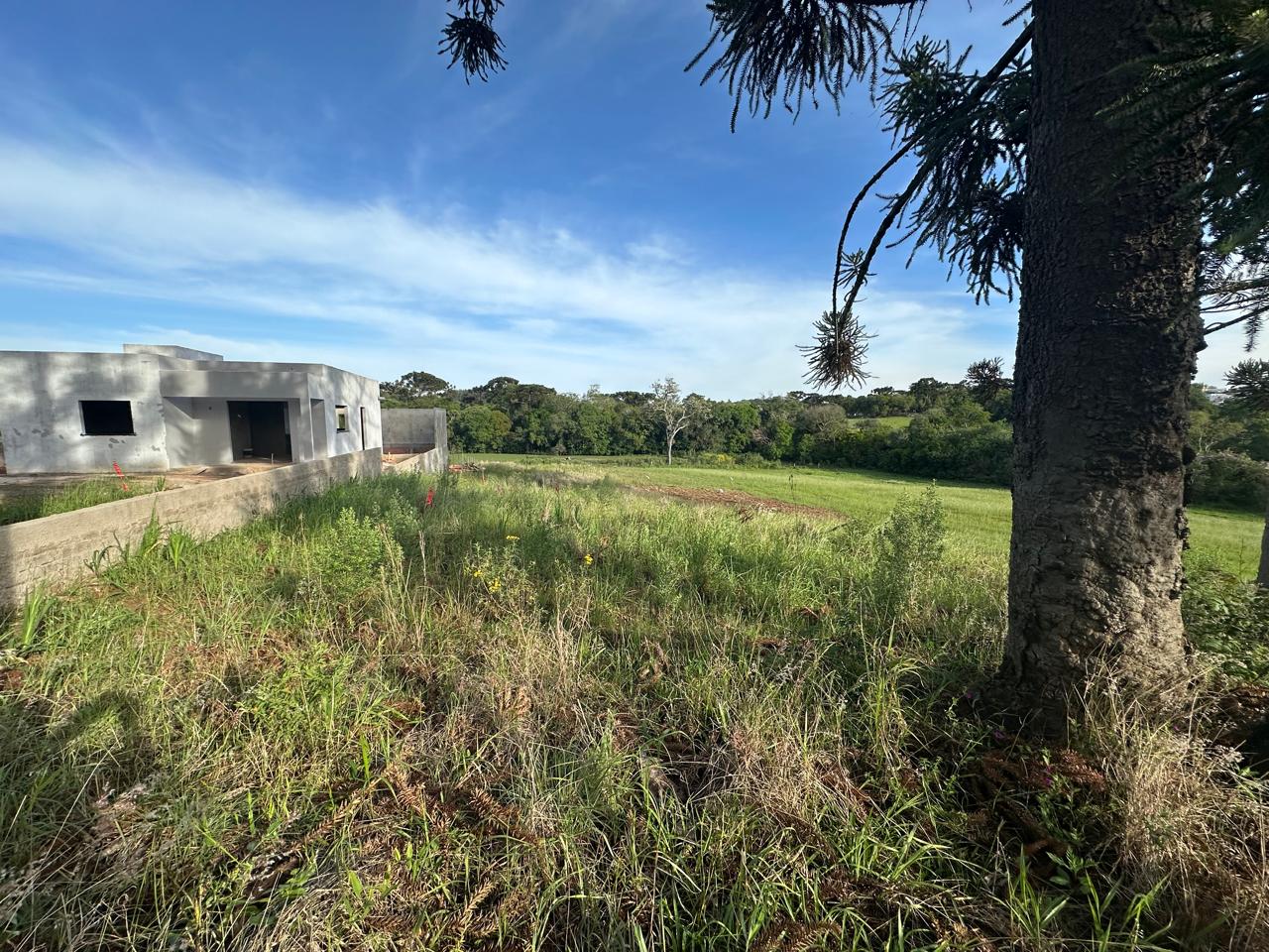 WhatsApp Image 2025-11-10 at 15.14.29