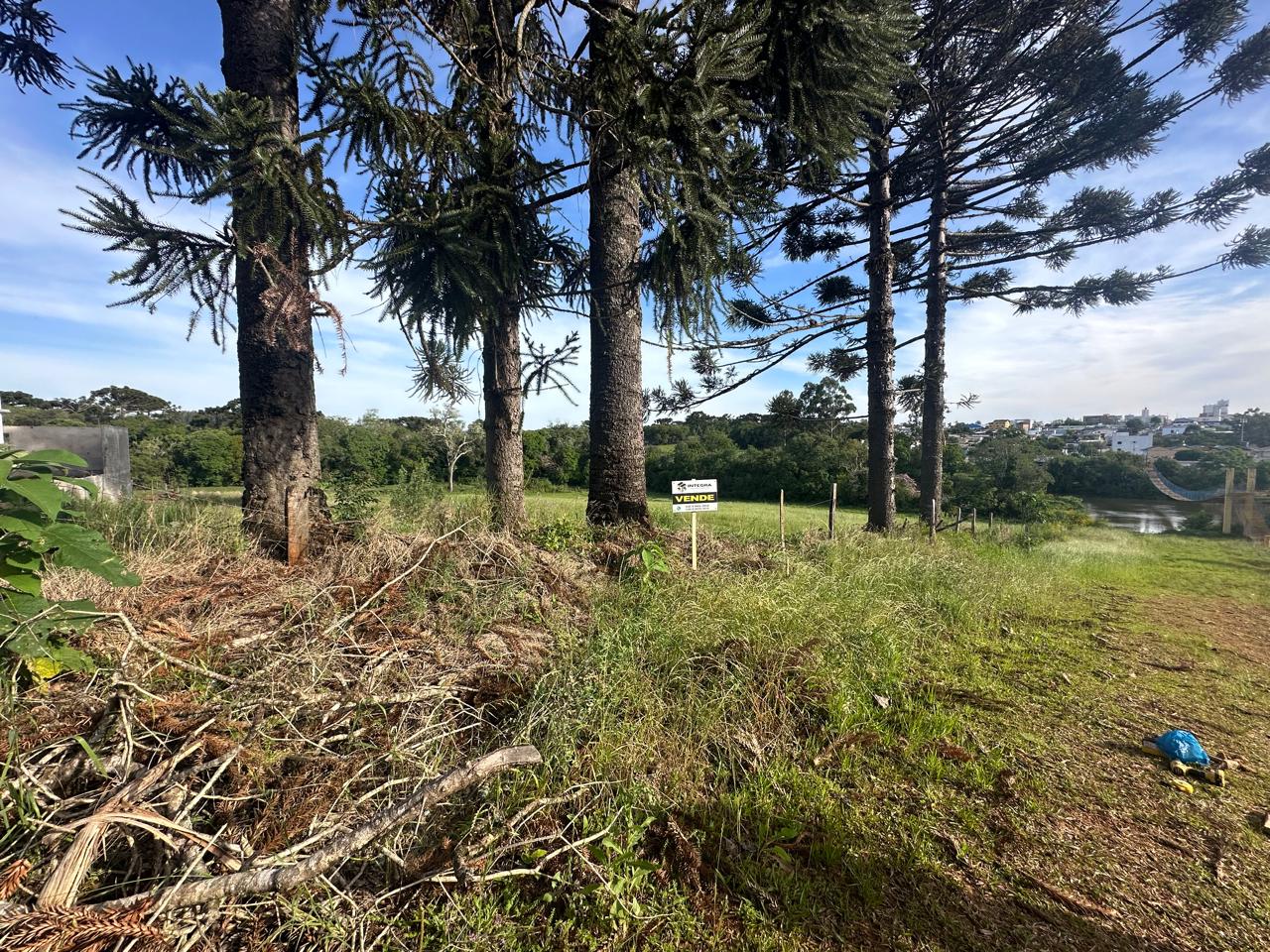 WhatsApp Image 2025-11-10 at 15.15.13