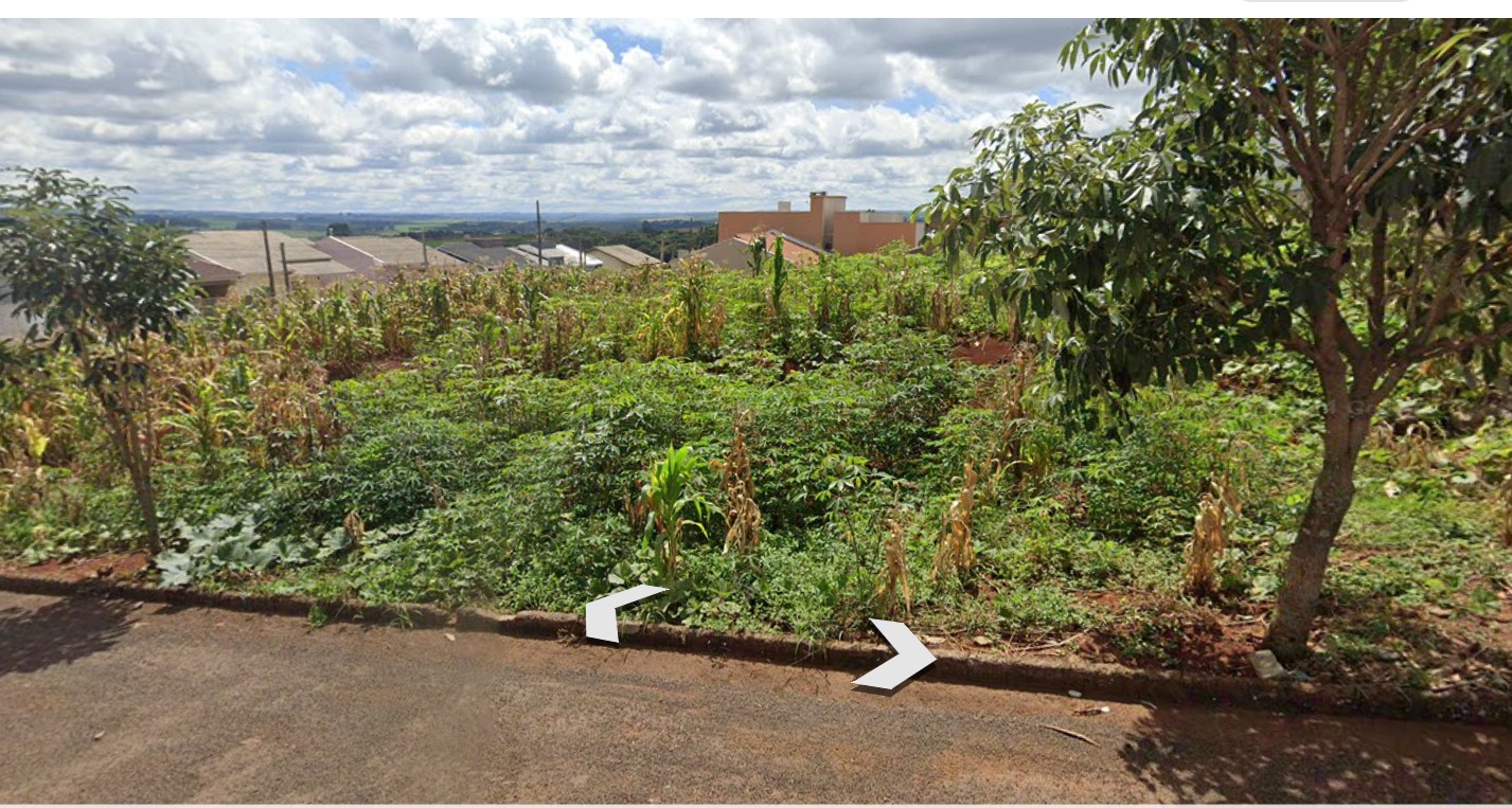 WhatsApp Image 2026-01-26 at 16.07.18